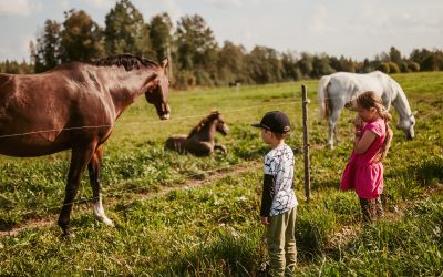 Hankasalmen Sadonkorjuuviikonloppu