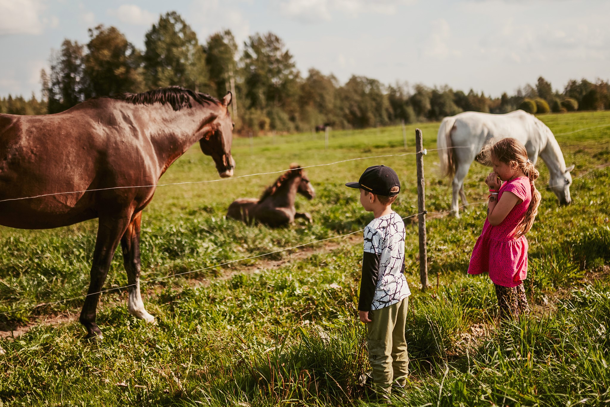 Lapsia katsomassa hevosia kesäisellä laitumella