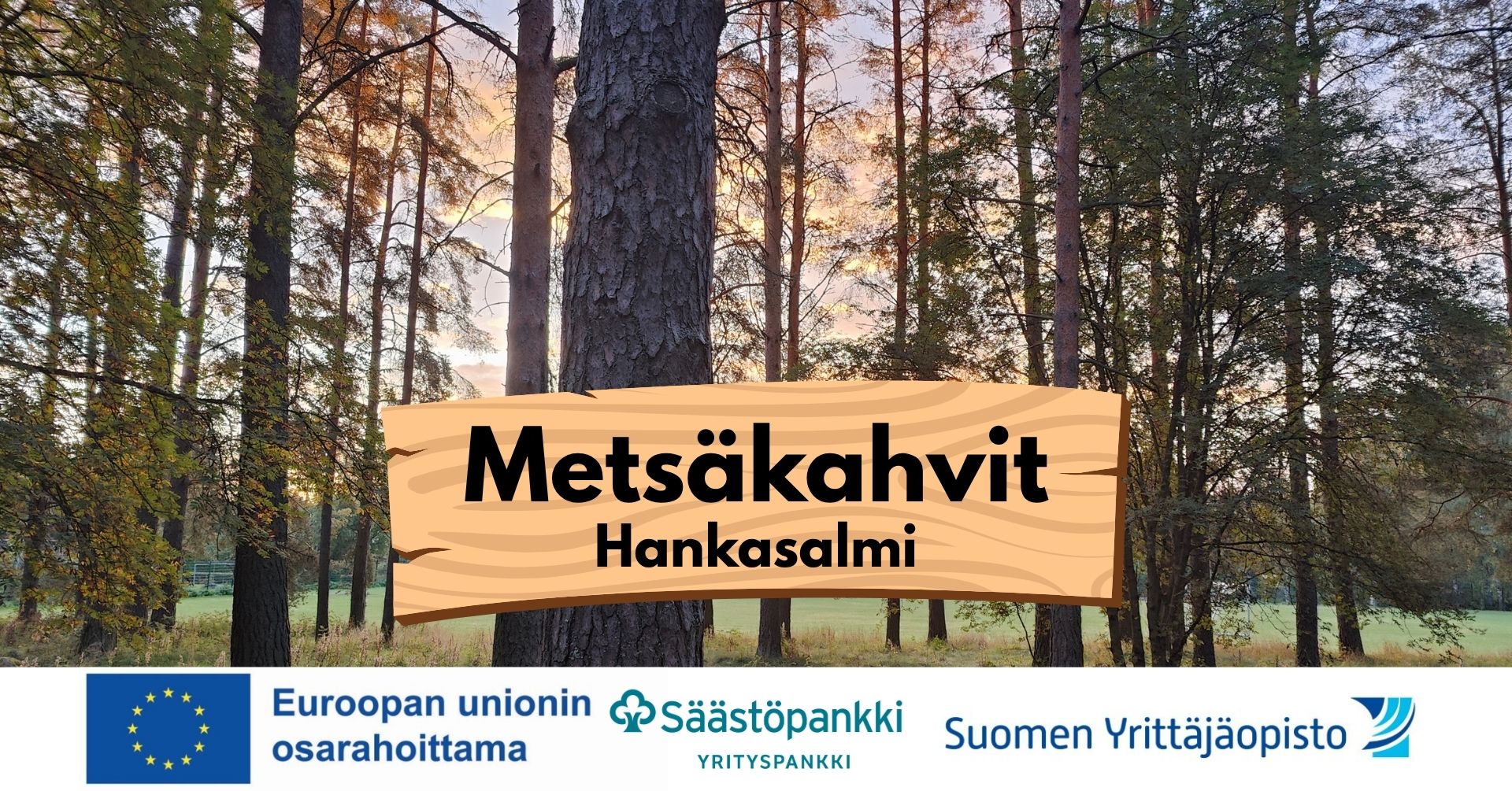 Metsäkahvit (16)