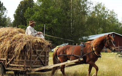 Haemme tilakohteita Sadonkorjuuviikonloppuun