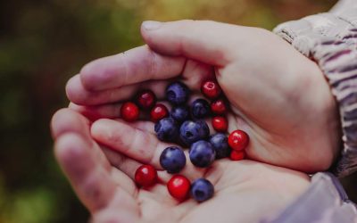 Kuntastrategia 2026-2030 on julkaistu