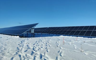 Läyniönsuon aurinkovoimahanke etenee – ELY-keskukselta päätös YVA-menettelyn soveltamisesta