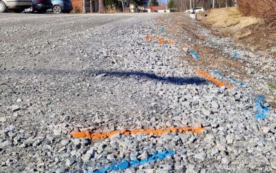 Haapatien perusparannus alkaa viikolla 16