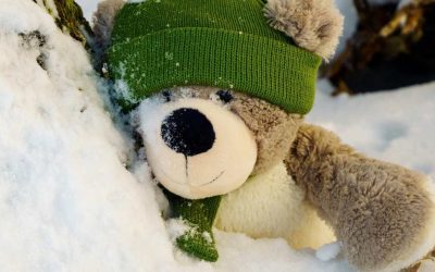 Varhaiskasvatuksessa siirrytään 1.3.2026 alkaen kahteen keskitettyyn hakuun vuodessa.